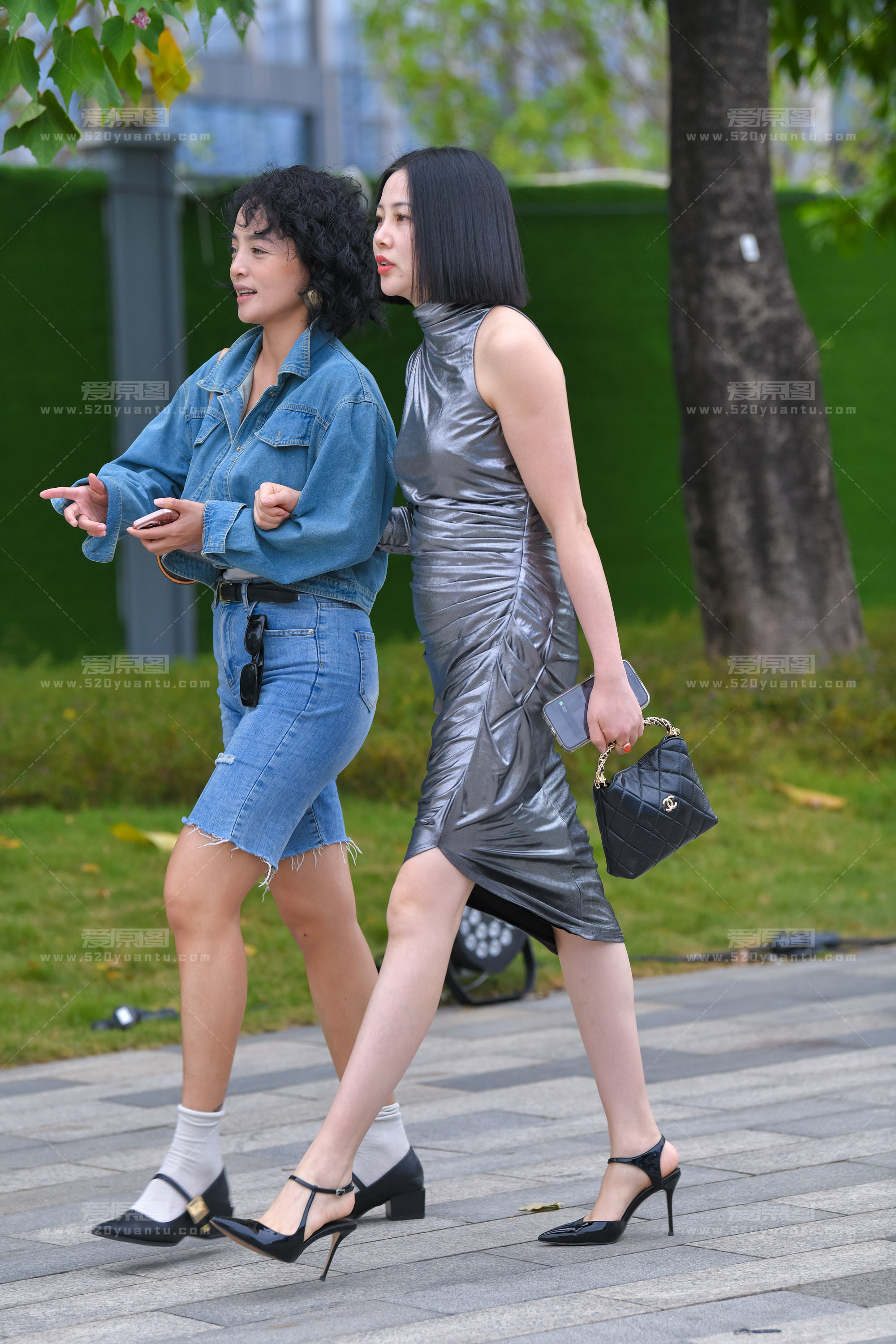 DSC_0702.JPG