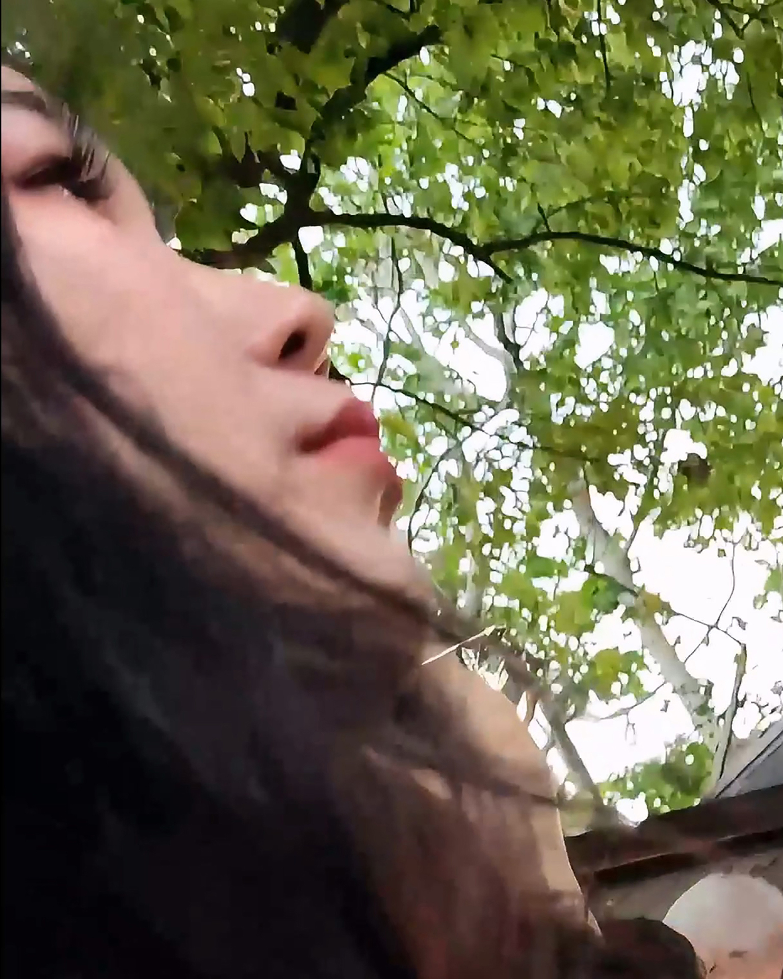 3543255.mp4_20250509_103650.474.jpg
