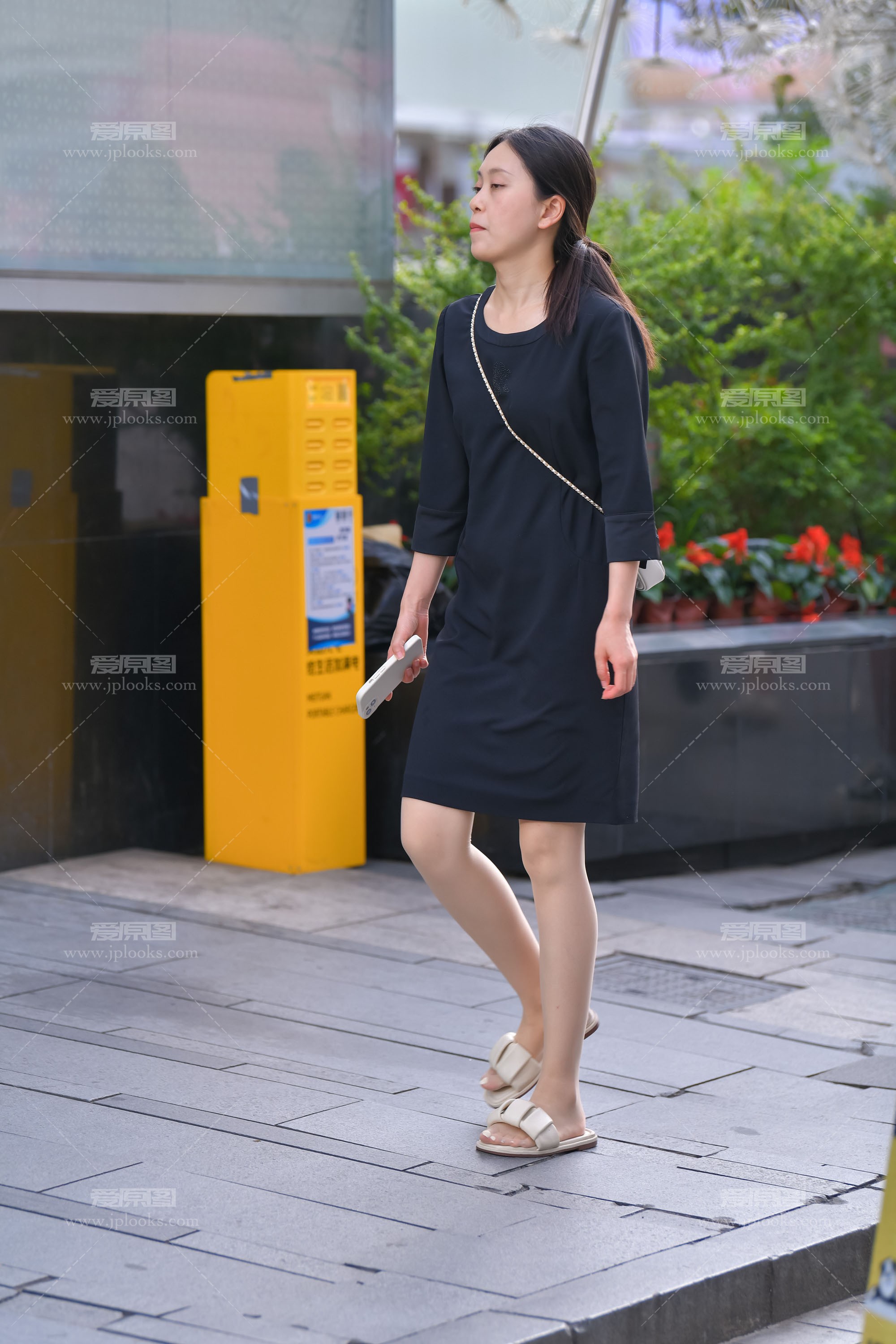 DSC_0805.jpg